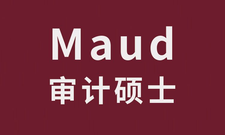 2025年长三角Maud审计硕士招生院校及专业推荐