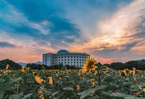 浙江工业大学17-500.jpg