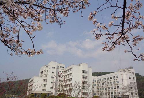 湖北师范大学5-500.jpg