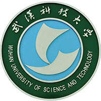 武汉科技大学