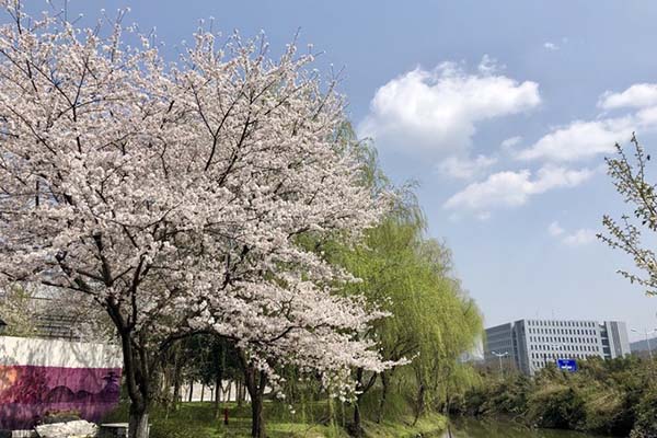 浙江工业大学屏峰校区