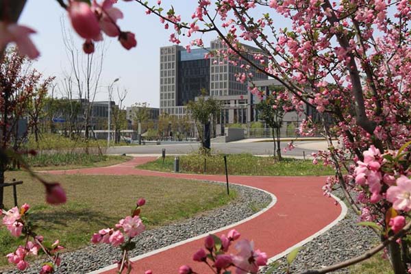 上海电力大学校园风景