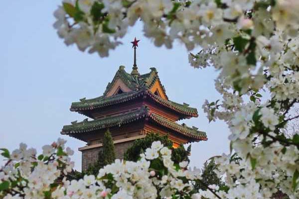 南京农业大学校园风景