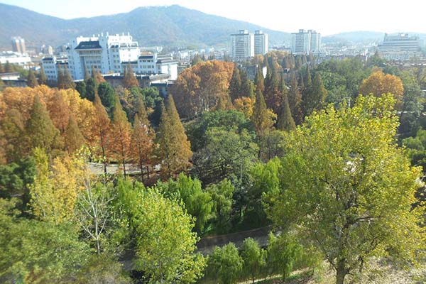 南京林业大学风景